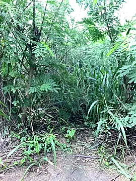 couplesexroom online show from 11.19.25