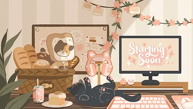 geekycastillo online show from 11.05.25