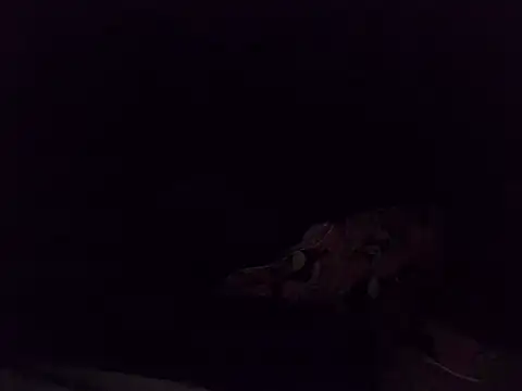 boldiva89 online show from 10.25.25