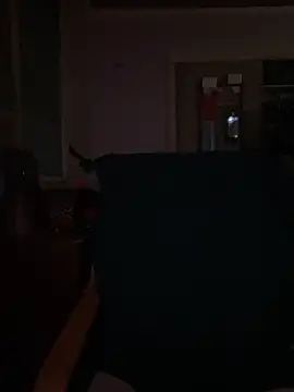 Macduckd online show from 02.13.26