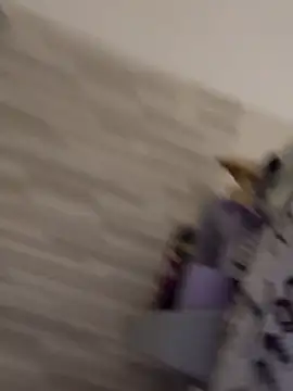 gatitalocahot online show from 03.30.26