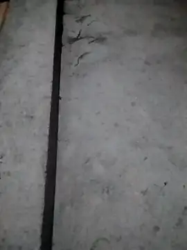 rickkis2k online show from 12.16.25