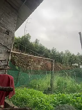 Irin jo online show from 02.01.26