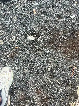 Rico1 1 online show from 11.18.25