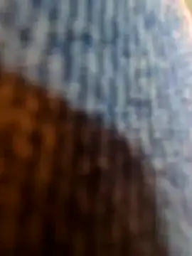 vivodan online show from 11.04.25