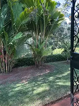 BubblesLovexox online show from 04.04.26