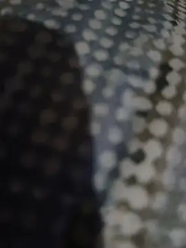 Piope1984 online show from 10.28.25