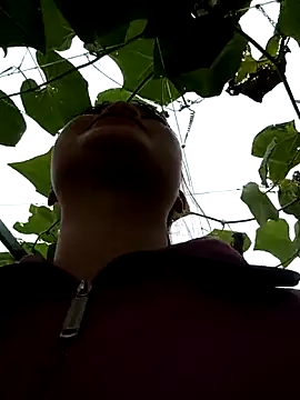 Noelle-e online show from 03.11.26