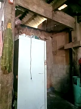 Noelle-e online show from 03.25.26