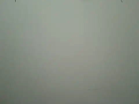 beadfeizi online show from 10.31.25