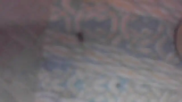 Snapshot of eppkswingcouple69 chatting on 03.22.26 eppkswingcouple69 online show from 03.22.26