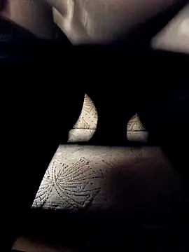 Snapshot of NyushaM chatting on 10.27.25 NyushaM online show from 10.27.25