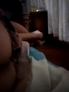 pampa4456 online show from 12.16.25