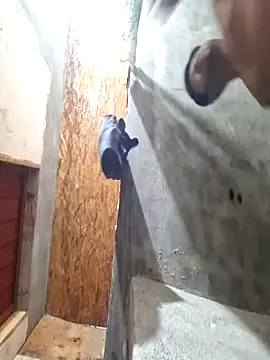 Snapshot of sanz957 chatting on 11.14.25 sanz957 online show from 11.14.25