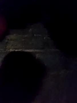 bella-la online show from 11.30.25