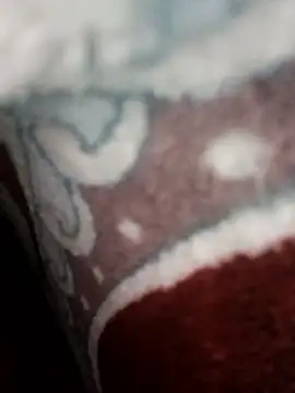 bigtelugubhama online show from 11.22.25