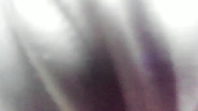 wild best online show from 02.16.26