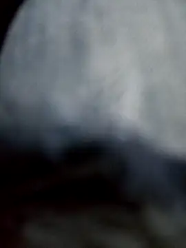 Snapshot of negro2828 chatting on 10.27.25 negro2828 online show from 10.27.25