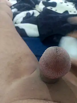 Ayoub ben27 online show from 11.08.25