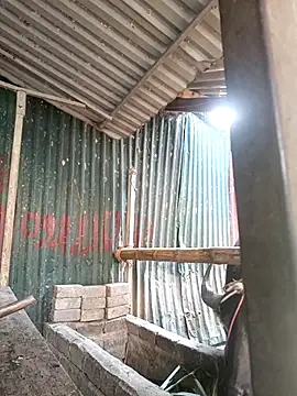 yoyo-mi online show from 11.27.25