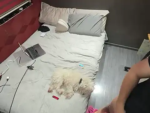 Snapshot of Bbydaddy_0 chatting on 01.19.26 Bbydaddy 0 online show from 01.19.26