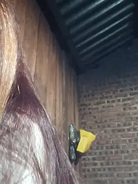 HGiasexy69 online show from 11.02.25