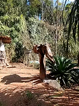 matbiec- online show from 12.22.25