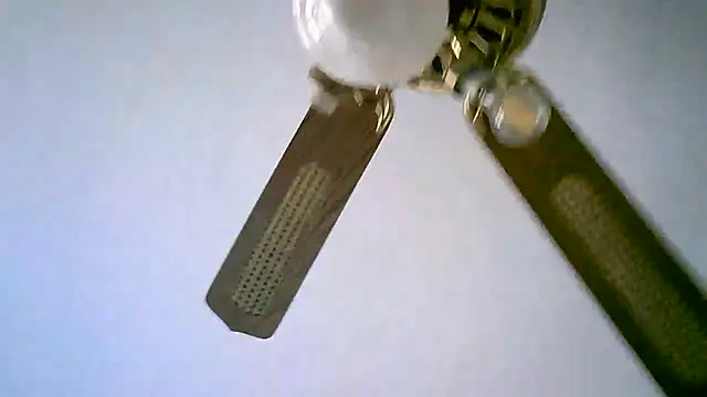 Sylviastar46 online show from 11.11.25