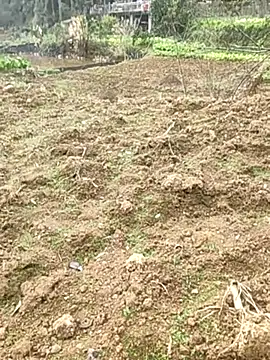 tian7788 online show from 02.17.26