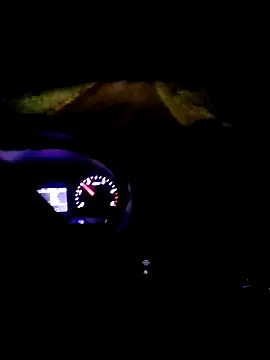 pino870 online show from 11.18.25