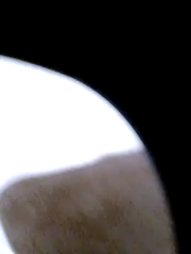 pino870 online show from 02.20.26