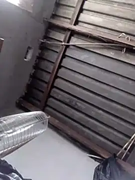 Teddypuer online show from 11.02.25