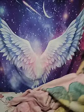 CurvyNoir online show from 04.08.26