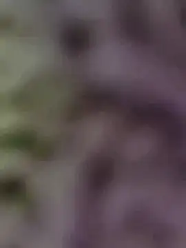 Snapshot of Hot-Sana2 chatting on 01.13.26 Hot-Sana2 online show from 01.13.26