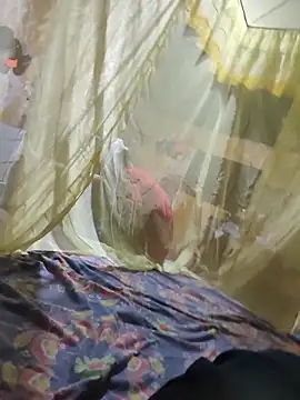 taylor1991V online show from 11.24.25