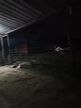 taylor1991V online show from 12.01.25