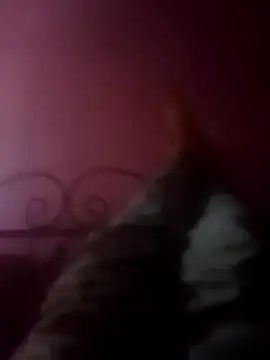 Snapshot of Narwindruners chatting on 11.03.25 Narwindruners online show from 11.03.25