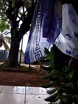 moreninho564 online show from 11.25.25