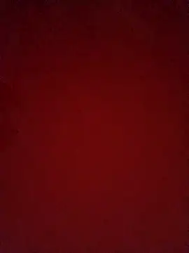 Snapshot of chapi365 chatting on 11.02.25 chapi365 online show from 11.02.25