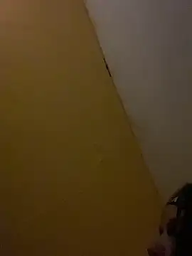 Lily bood online show from 11.17.25