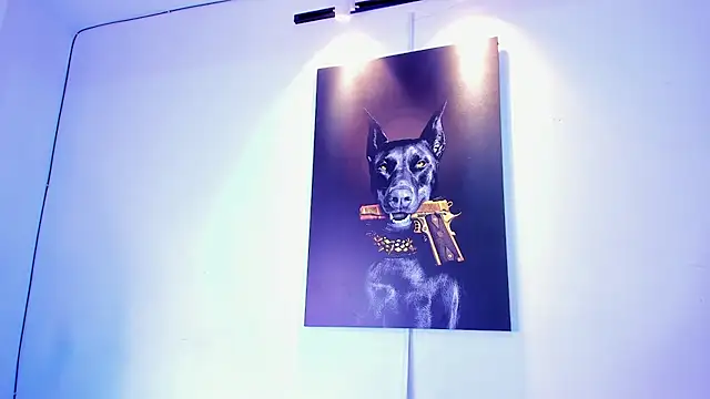 stiven 24cm online show from 11.28.25