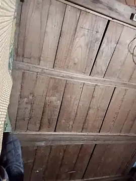 Bee-bgolden online show from 11.27.25