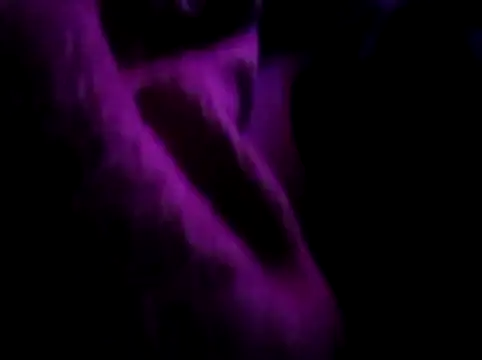 akram306 online show from 11.14.25