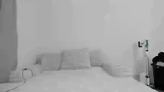 zaylanez online show from 11.08.25