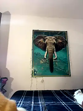 alisaa jhons1 online show from 12.14.25