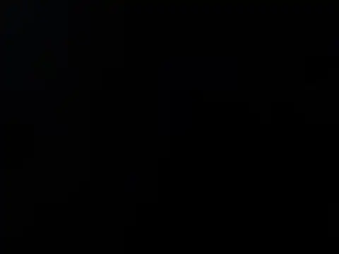 furry puss online show from 11.11.25