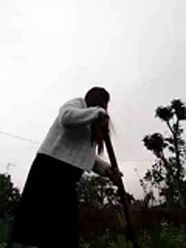 Qoine392 online show from 12.20.25