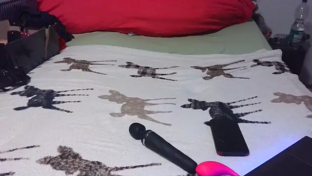 dwt schwuchtel online show from 03.01.26