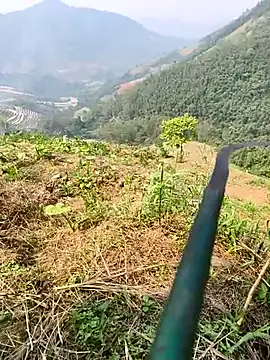 Lynly k2 online show from 04.08.26