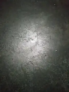 WillfulVideo online show from 11.13.25